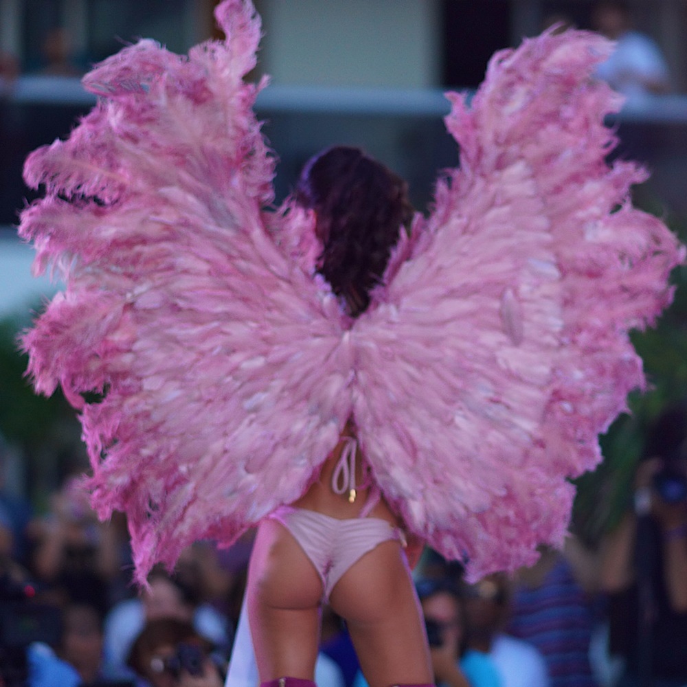 PINK WINGS